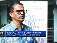 Rokok Ilegal Ditekan di 2019, SSMS Anggarkan Capex Rp600 M