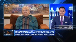 Impor Jagung, Permintaan Siapa?