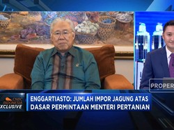 Impor Jagung, Permintaan Siapa?