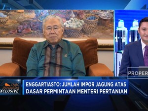 Impor Jagung, Permintaan Siapa?