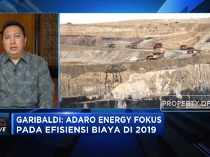 ADRO Fokus 'Cost Efficiency' di 2019