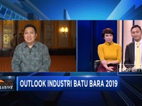 Boy Thohir: 2019 Industri Batu Bara Masih Menjanjikan
