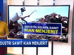 Industri Sawit Kian Menjerit