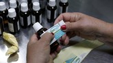 Perusahaan farmasi berbasis di Kuba, Labiofam, telah menggunakan racun kalajengking ini sejak 2011 silam untuk memproduksi obat Vidatox. (REUTERS/Stringer)