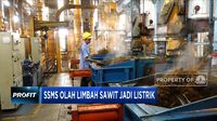 Perusahaan Ini Ubah Limbah Sawit Jadi Listrik - Riset