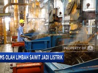 Perusahaan ini Ubah Limbah Sawit jadi Listrik