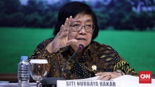 Menteri LHK Usut Pemegang Konsesi Terkait Karhutla di Riau