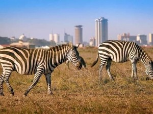 Gile Bener! Kenya Berencana Bangun PLT Nuklir Pertama di Situs UNESCO