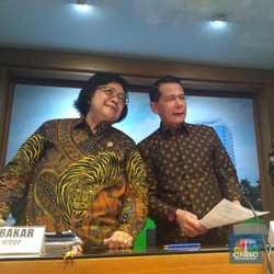 Isu Lingkungan Rp 185 T Freeport Kelar dengan Rp 460 M?