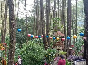 Sejuknya Liburan di 5 Wisata Dataran Tinggi Ngawi