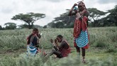 Prajurit Maasai mempersiapkan rias wajah sebelum mengikuti Olimpiade Maasai di Kimana, dekat perbatasan Kenya-Tanzania. Olimpiade ini adalah usulan kelompok konservasi internasional sebagai alternatif untuk tidak membunuh singa, suatu ritual akil balig Maasai. (Photo by Yasuyoshi CHIBA / AFP)