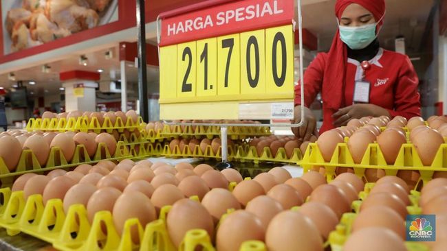 10 Makanan yang bikin Anak Cerdas, Bagus Dikonsumsi Setiap Hari