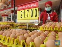 10 Makanan yang bikin Anak Cerdas, Bagus Dikonsumsi Setiap Hari