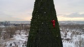 Foto udara menunjukkan seorang pemanjat yang berpakaian seperti Santa Klaus sedang menghias pohon natal setinggi 57 meter di sebuah taman di Pulau Tatyshev, dekat sungai Yenisei, di kota Krasnoyarsk, Rusia. (REUTERS/Ilya Naymushin)