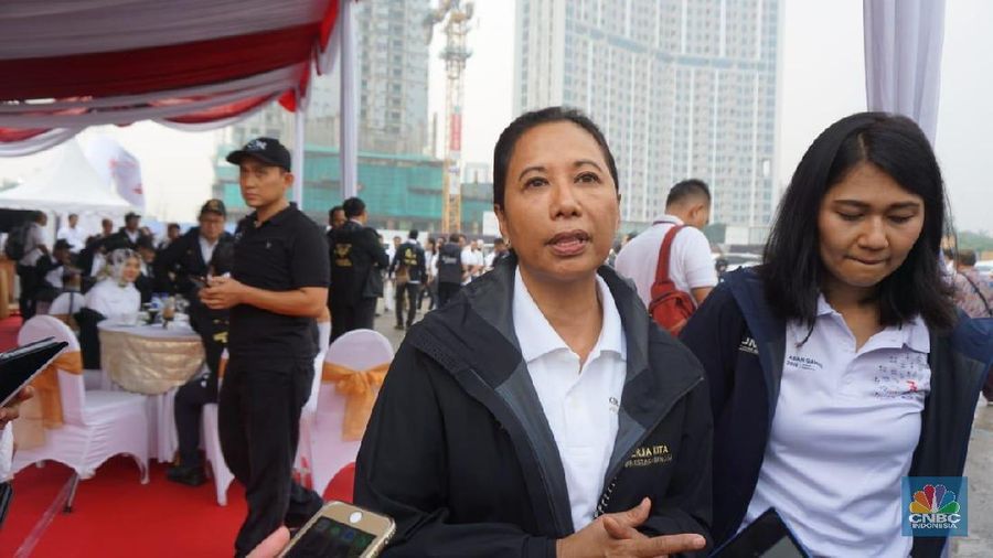 Menteri BUMN Rini Soemarno buka-bukaan soal ekspansi perusahaan plat merah yang cukup agresif.