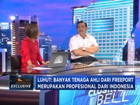 Menko Luhut Bicara Divestasi Freeport