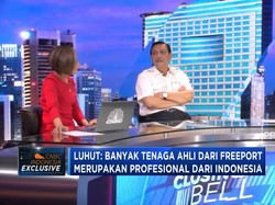 Menko Luhut Bicara Divestasi Freeport
