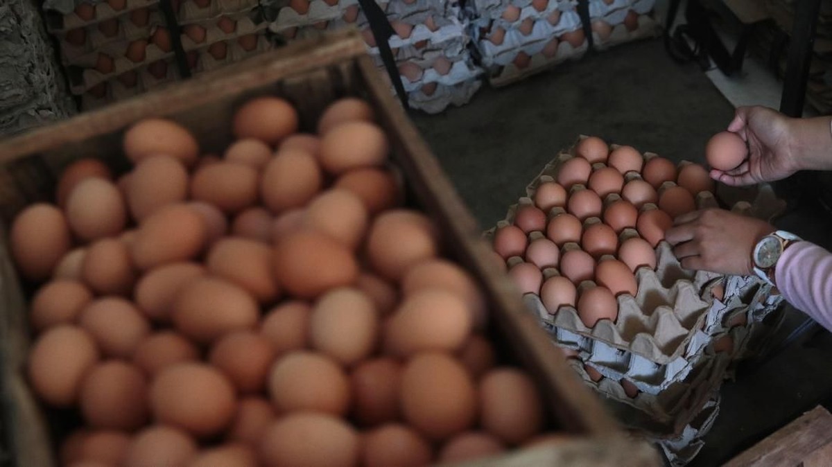 Cara Ampuh Mengetahui Telur yang Busuk dan Tidak