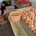 Kelebihan Telur Bebek Dibandingkan Telur Ayam, Banyak yang Tak Tahu!
