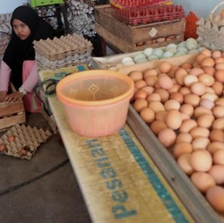 Kelebihan Telur Bebek Dibandingkan Telur Ayam, Banyak yang Tak Tahu!