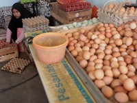 Kelebihan Telur Bebek Dibandingkan Telur Ayam, Banyak yang Tak Tahu!