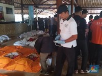 PLN, Seventeen & Suka yang Berubah Jadi Duka Akibat Tsunami
