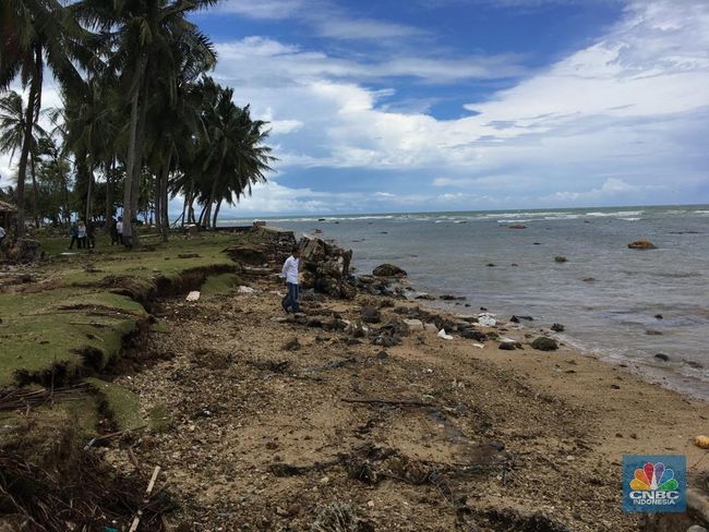 Zona Waspada Tsunami Turun Ke Radius 500 M Dari Pantai