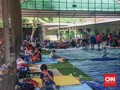 Gemuruh Gunung dan Suara Sirene Picu Trauma Pengungsi Tsunami