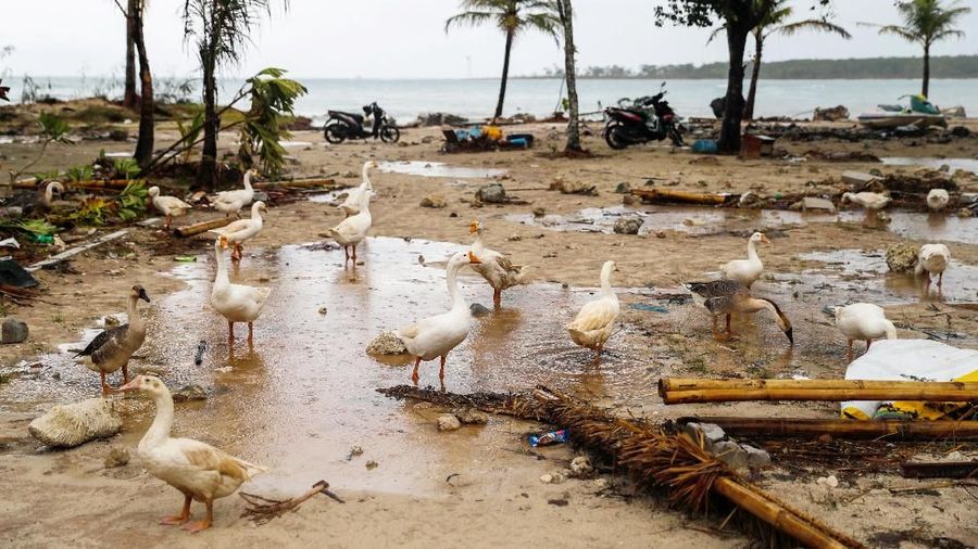 Badan Nasional Pencarian dan Pertolongan (dh Basarnas) memutuskan memperluas area pencarian korban tsunami Selat Sunda.