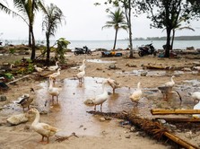 Basarnas: Banyak Korban Tsunami Selat Sunda di Area Terpencil