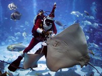 Siap-Siap Santa Claus Rally! Sektor Ini Berpotensi Panen Kado