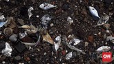 Hasil olahan Ikan asin milik warga Kampung nelayan Teluk Labuan berceceran ditanah usai diterjang gelombang tsunami Selat Sunda, Banten ( 25/12). (CNN Indonesia/Hesti Rika)