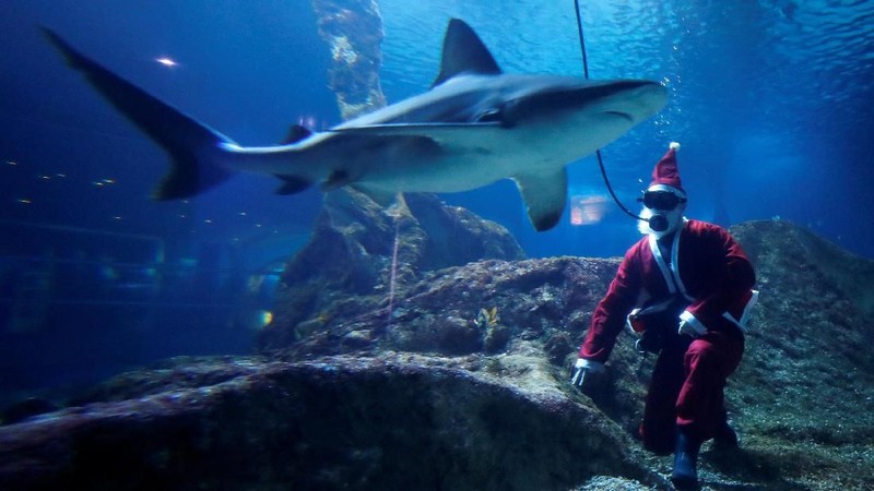 Beragam acara menyambut Natal digelar di seluruh dunia.