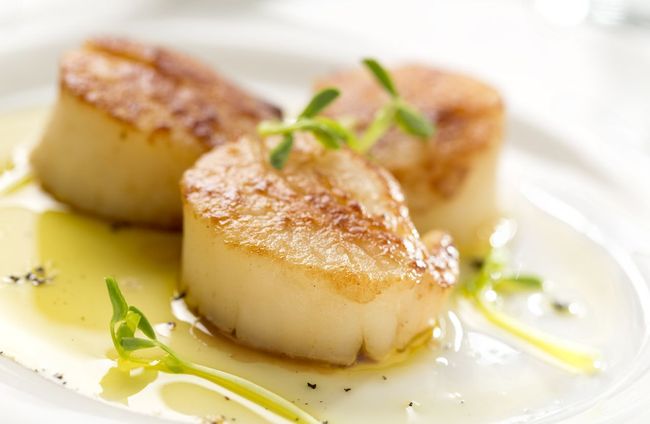 Scallop, 'Nugget Emas' dari Perairan Peru