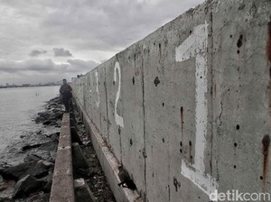 Proyek Tanggul Laut RI Banjir Minat Asing, Ada Belanda hingga China
