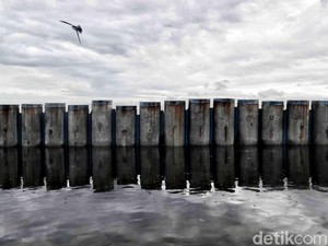 3 Negara yang Punya Tanggul Laut Raksasa untuk Cegah Tenggelam