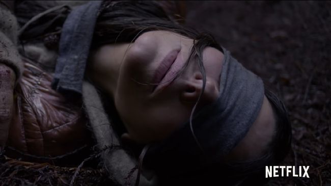 'Bird Box' Disebut Bersiap Tembus 80 Juta Penonton