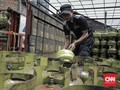 ESDM Gerah Elpiji Bersubsidi Dijual Online