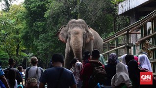 Banyak Warga Tak Tahu Monas dan Ragunan Tutup Lebaran Pertama