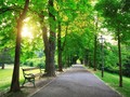 Wisata Sambil Belajar Sejarah di Taman Wilhelmina