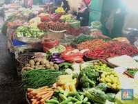 Program 'Jembatan Udara' Jokowi Diklaim Pangkas Harga 40%