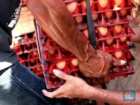 Inflasi 2018 3,13%, KEIN: Pemerintah Sukses Kendalikan Harga
