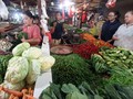 BI Belum Lihat Risiko dari Kenaikan Harga Pangan