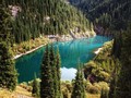 Fenomena Unik, Pohon Cemara Tumbuh Terbalik di Dalam Danau