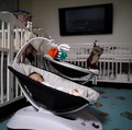 Korea Mau Kasih Rp1 Miliar untuk Setiap Bayi Baru Lahir