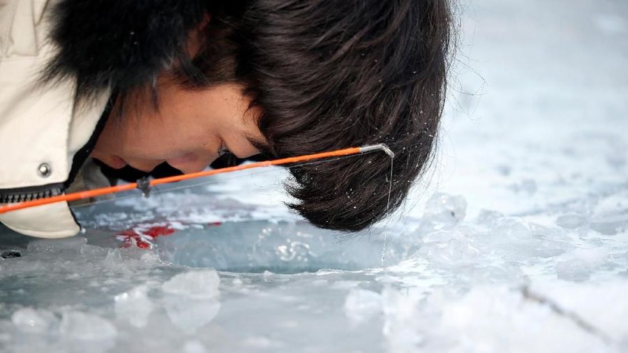 Trouts are laid on a frozen river during the Ice Festival in Hwacheon, south of the demilitarized zone (DMZ) separating the two Koreas, South Korea, January 5, 2019 REUTERS/Kim Hong-Ji