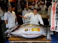 Demi Tuna, Ini Cerita Susi Tolak Beri Izin Kapal Jepang