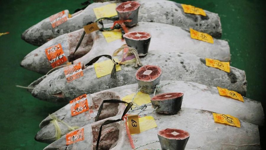 Journalists film a 278kg bluefin tuna, priced with a 333,600,000 yen bid is pictured in front of sushi restaurants Sushi Zanmai in Tokyo, Japan, January 5, 2019. REUTERS/Kim Kyung-Hoon     TPX IMAGES OF THE DAY