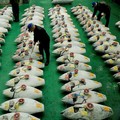 Ini Alasan Susi Ngotot Minta Jepang Hapus Bea Masuk Tuna RI