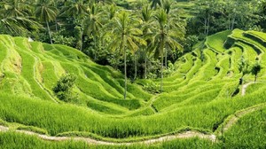 Lika-liku Pariwisata Berkelanjutan
